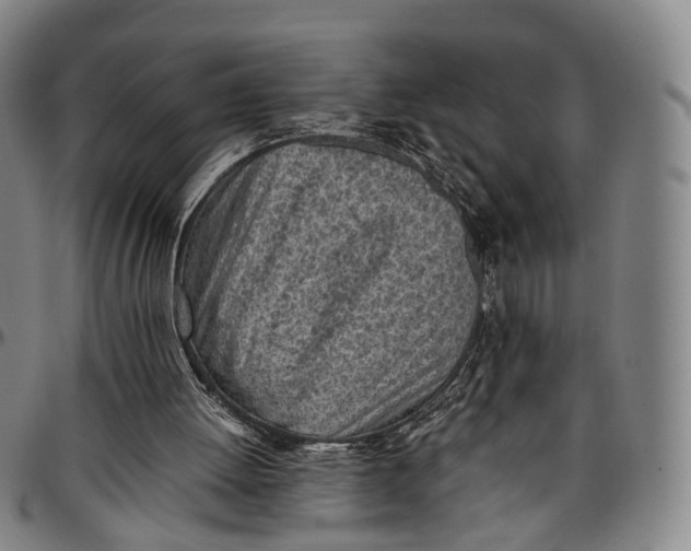 X0000096960052200802291131