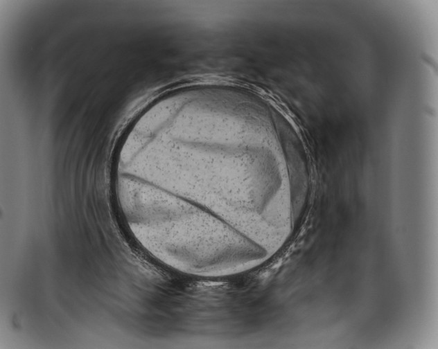 X0000096960055200802291131