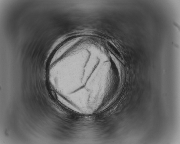 X0000096960056200802291131