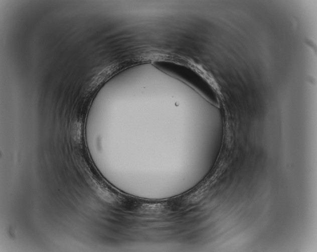 X0000096960057200802291131