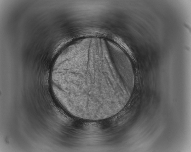 X0000096960058200802291131