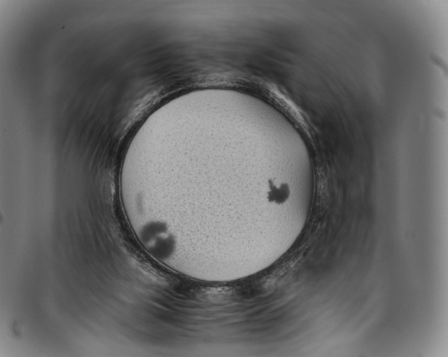 X0000096960059200802291131