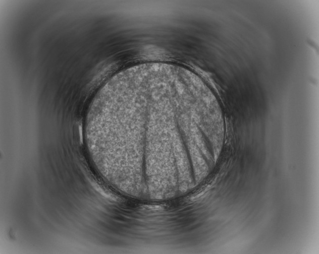 X0000096960061200802291131