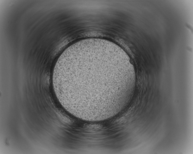 X0000096960063200802291131