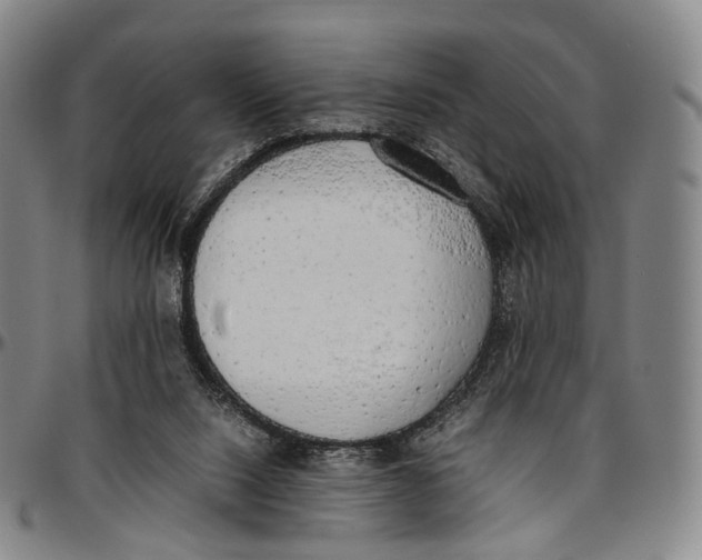 X0000096960064200802291131