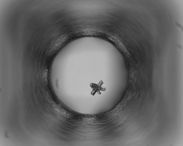 X0000096960066200802291131