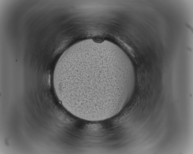 X0000096960067200802291131