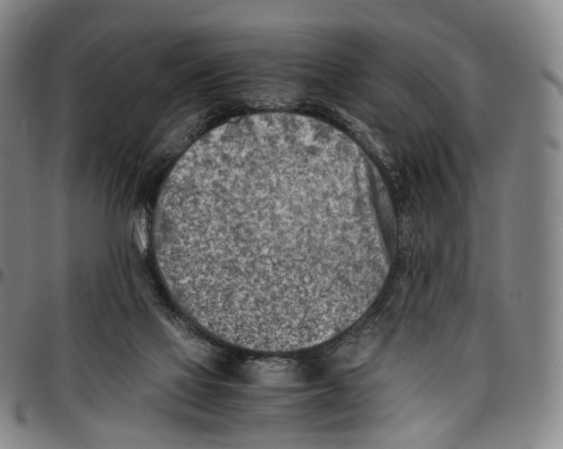 X0000096960069200802291131