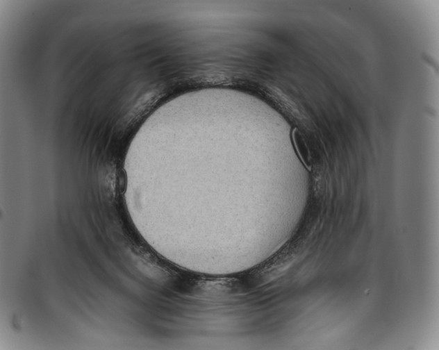 X0000096960072200802291131