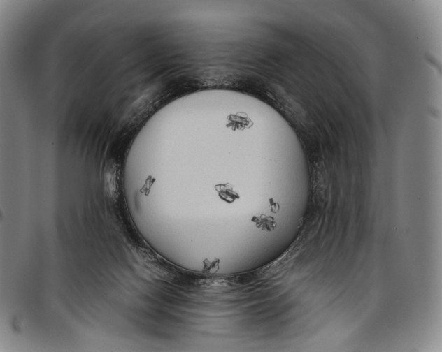 X0000096960074200802291131