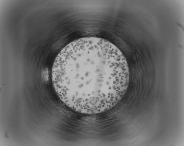 X0000096960075200802291131