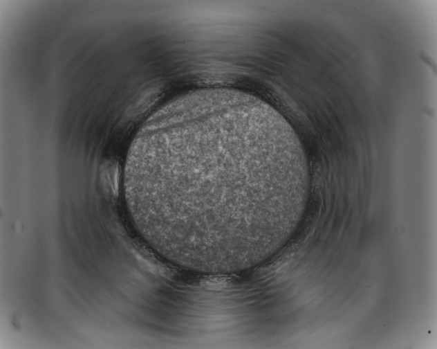 X0000096960076200802291131