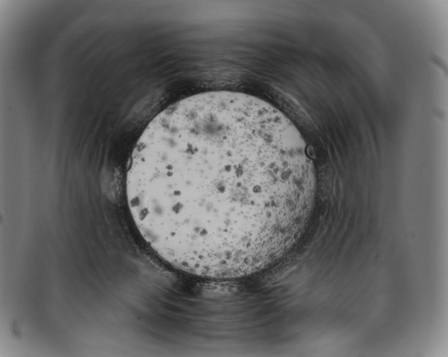 X0000096960077200802291131