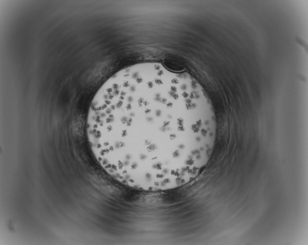 X0000096960078200802291131