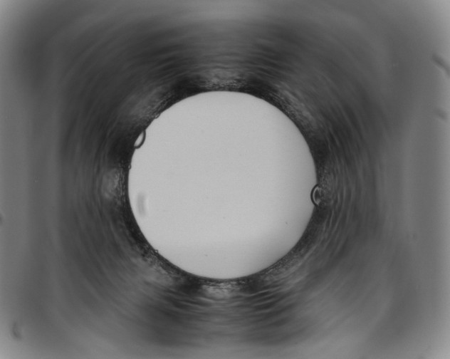 X0000096960079200802291131