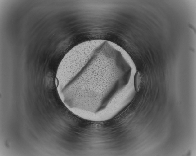 X0000096960080200802291131