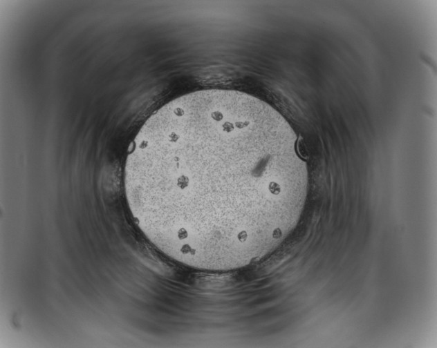 X0000096960081200802291131