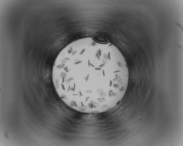 X0000096960082200802291131