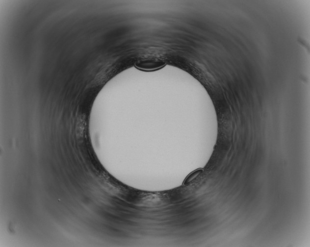 X0000096960083200802291131