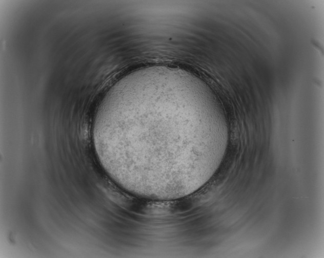 X0000096960084200802291131