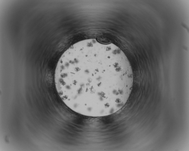 X0000096960086200802291131