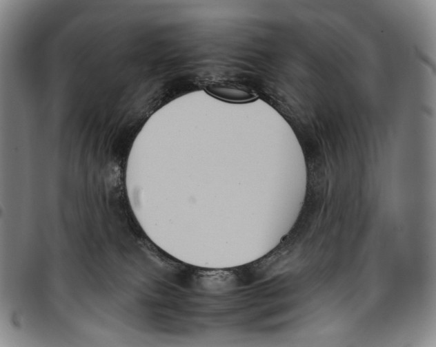 X0000096960087200802291131