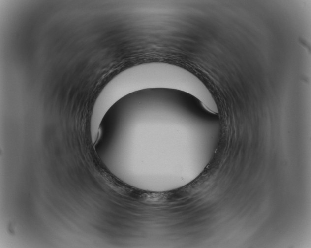 X0000096960088200802291131