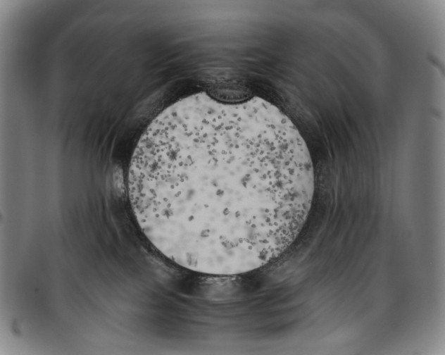 X0000096960089200802291131