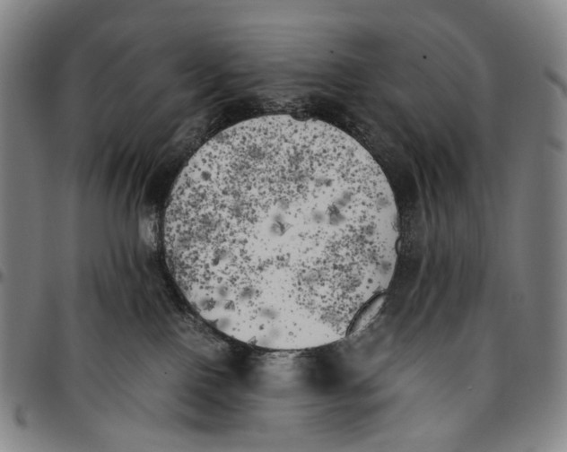 X0000096960090200802291131