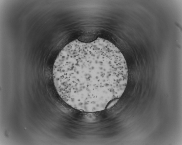 X0000096960091200802291131