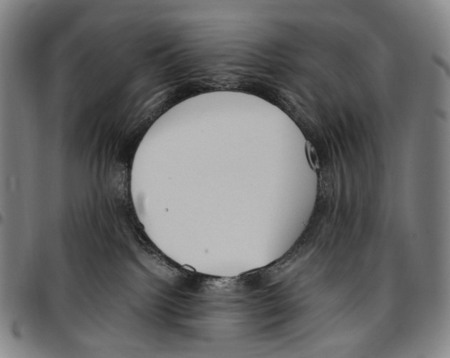 X0000096960092200802291132