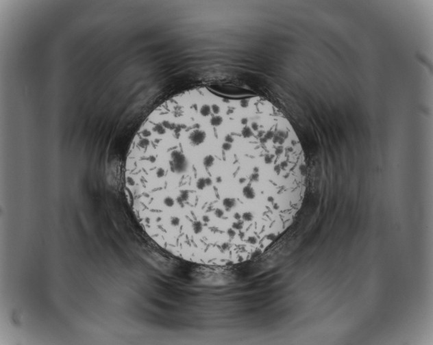 X0000096960093200802291132