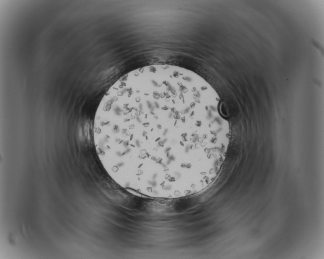 X0000096960094200802291132