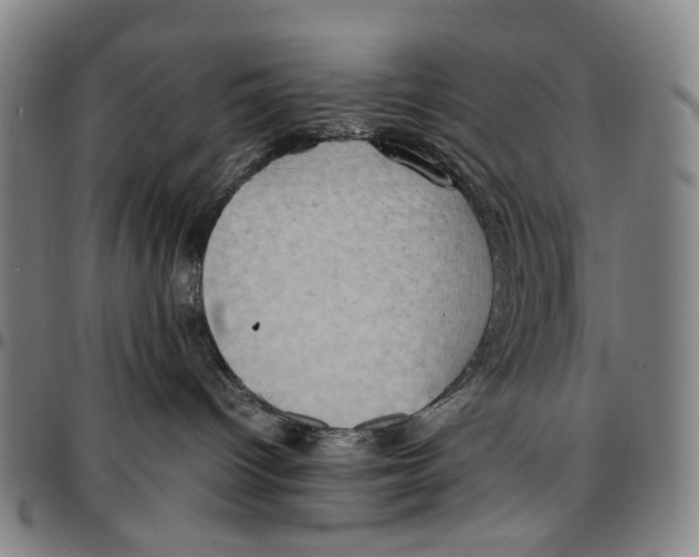 X0000096960096200802291132