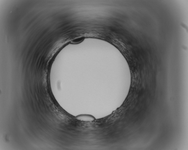 X0000096960098200802291131