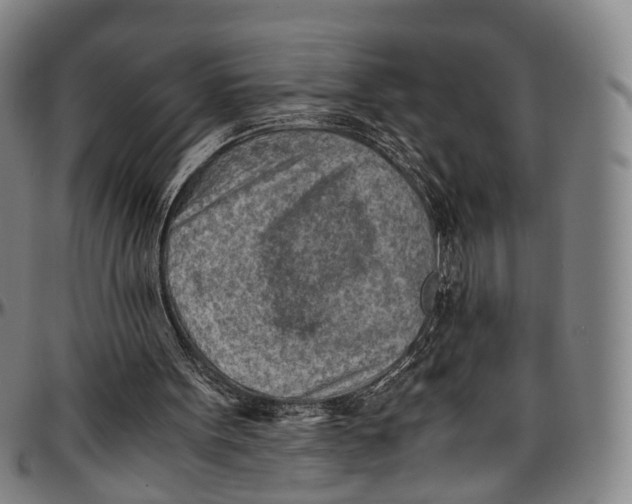 X0000096960099200802291131