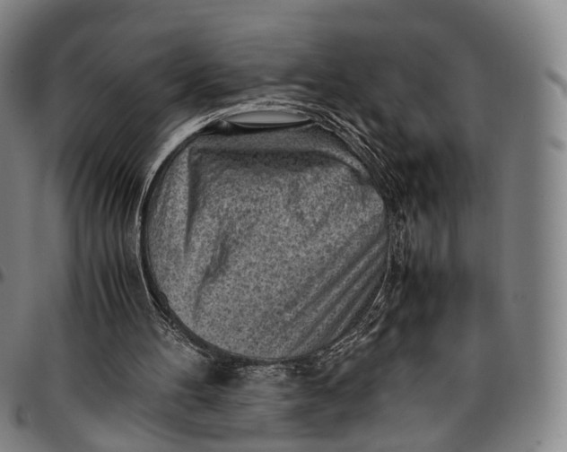 X0000096960100200802291131