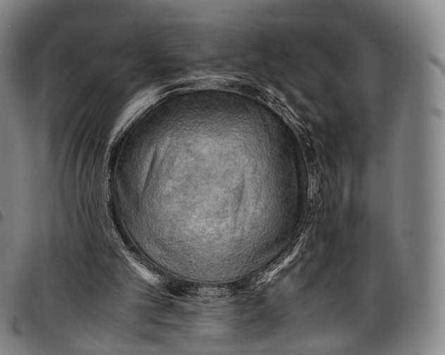 X0000096960101200802291131