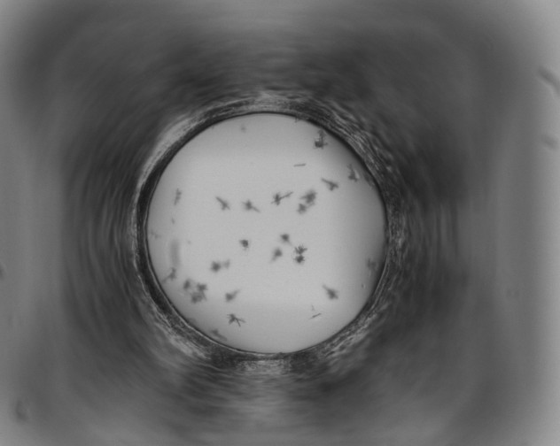 X0000096960102200802291131