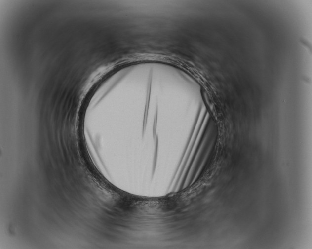 X0000096960104200802291131