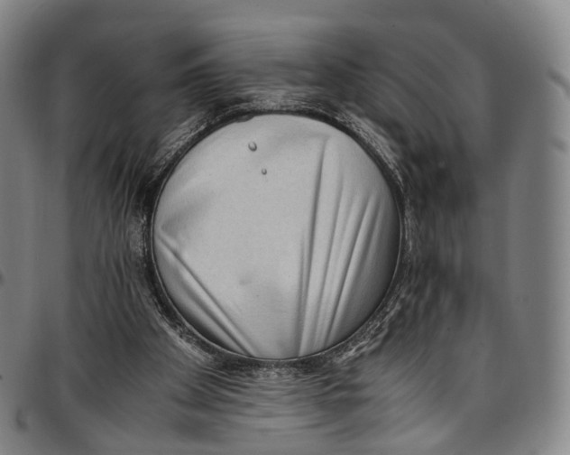 X0000096960105200802291131