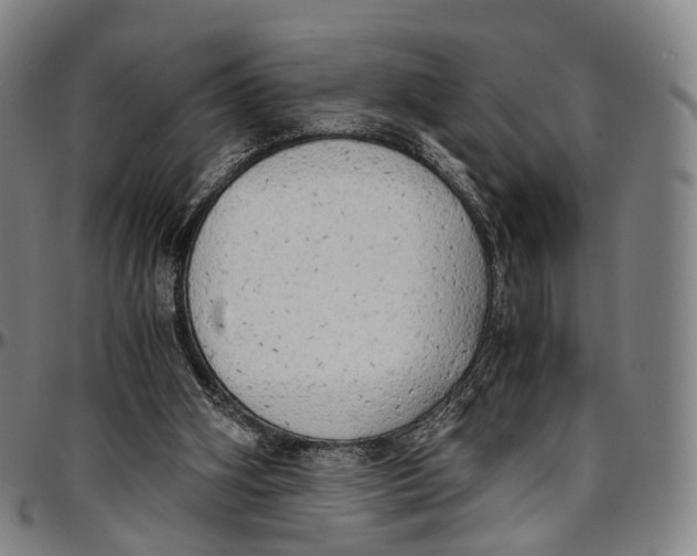 X0000096960106200802291131