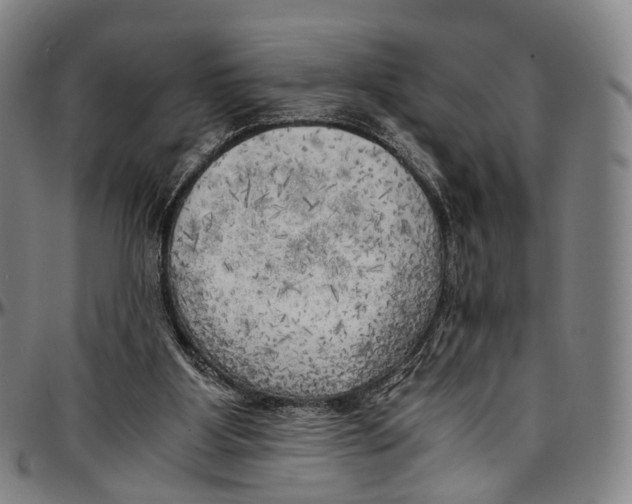 X0000096960107200802291131