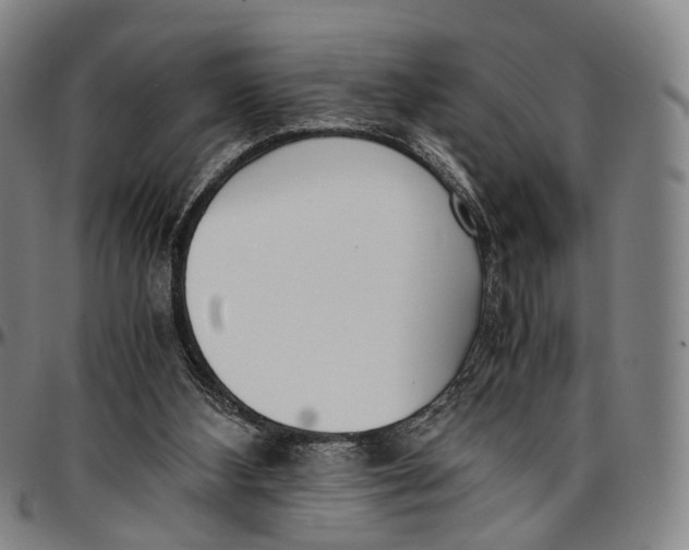 X0000096960108200802291131