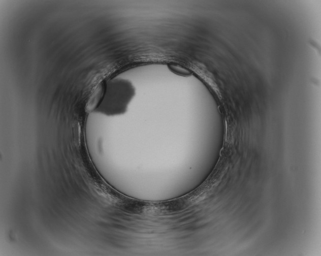 X0000096960109200802291131