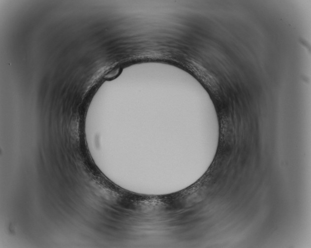 X0000096960112200802291131