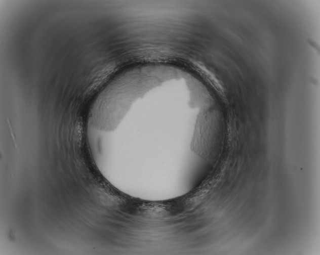 X0000096960113200802291131