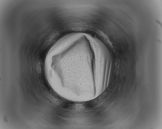 X0000096960114200802291131