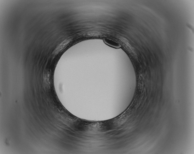 X0000096960116200802291130