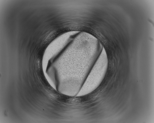 X0000096960117200802291130